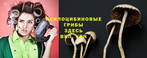 дурь Пролетарск