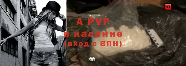 стафф Елабуга