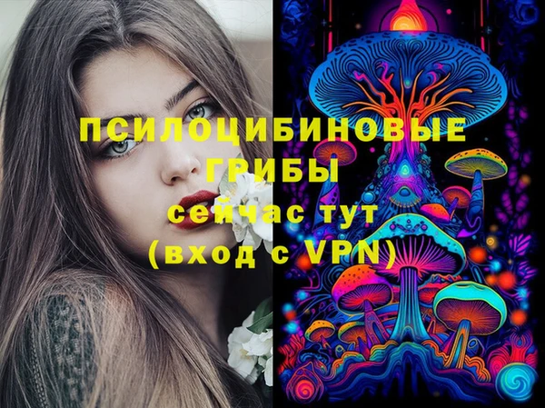 МДПВ Шали
