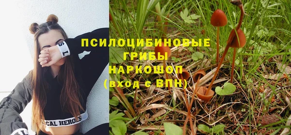 синтетический гашиш Дмитриев